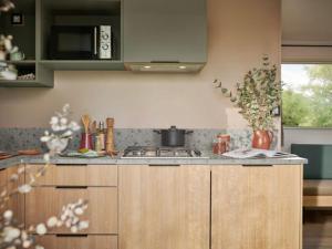 Кухня или мини-кухня в Mobil-home avec Terrasse à Hyères - 30m² pour 4 personnes - API-1-52-1076
 +1 фотография