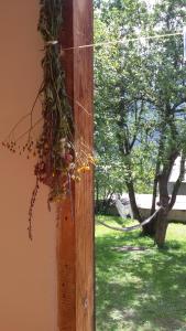 حديقة خارج Guesthouse Mountain View