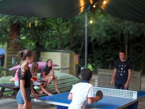 a group of people standing around a ping pong table at Mobil-home 32m² à Salavas avec Terrasse, pour 5 personnes - API-1-52-1180 in Vallon-Pont-dʼArc +12 photos