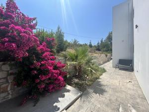 einen Busch rosa Blumen neben einem Gebäude in der Unterkunft Villa Maïa in Dhrámia