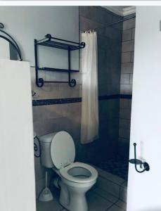 a bathroom with a toilet and a shower at ikhaya in Port Edward