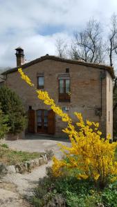 a brick house with yellow flowers in front of it at Cal Cisteller in Gironella