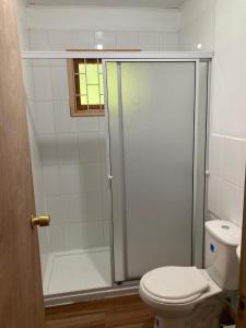 een badkamer met douche, toilet en raam bij Cabaña Yoka - Orilla de Lago in Pucura