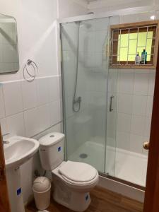 een badkamer met een douche, een toilet en een wastafel bij Cabaña Yoka - Orilla de Lago in Pucura +19 foto's