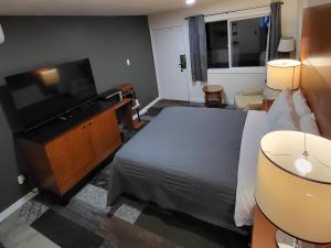 Un dormitorio con una cama y un televisor de pantalla plana. en Shelton Inn, en Shelton