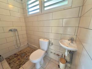 un baño con inodoro y lavabo en Appt T3 - Bourg de Sainte Anne, en Sainte-Anne 16 fotos más