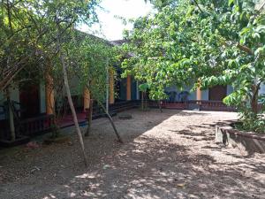 Κήπος έξω από το Country Cottage