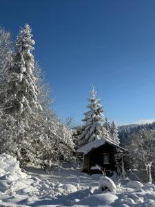 eine Hütte im Schnee neben einigen Bäumen in der Unterkunft Appartement 6/8 personnes in Petite Chaux