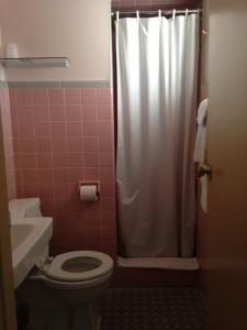 a bathroom with a shower with a toilet and a sink at Heidelberg Motel in Bridgeport