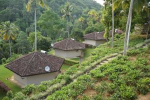 una fila de casas en una colina con palmeras en Athulya Villas, Kandy en Kadugannawa