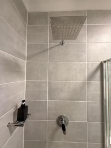 Luxury Coastal Escape in Strand في Somerset West: حمام مع دش مع رأس دش