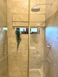 a bathroom with a shower with a glass door at Luxe Hideaway in Colombo +25 photos