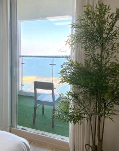 Naturlandskabet i nærheden af lejlighedshotellet + 7 billeder