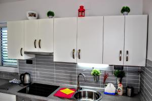 Virtuvė arba virtuvėlė apgyvendinimo įstaigoje Apartment Selce 4 U
