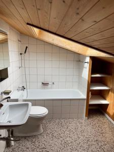 Ένα μπάνιο στο Ferienhaus am Sarnersee +17 φωτογραφίες