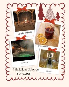 Φωτογραφία από το άλμπουμ του Apartamenty Gajówka- rowery, plac zabaw, sauna, jacuzzi σε Stegna