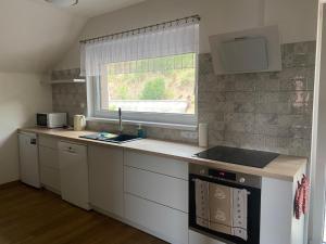 Kuchyň nebo kuchyňský kout v ubytování Apartmán Strachotín