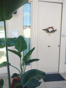 Φωτογραφία από το άλμπουμ του Casa Lido di Camaiore Eva&Gabri στο Λίντο ντι Καμαϊόρε