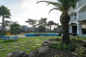 a palm tree in a yard next to a building at Jeju Daonjae Sagye Branch in Seogwipo