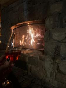 a person holding a glass of wine in front of a fireplace at Kosmajska Bajka in Rogača +13 photos