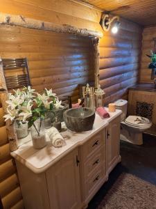 a bathroom with a sink and a toilet at Kosmajska Bajka in Rogača