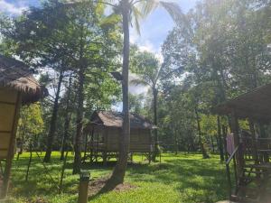 a park with a palm tree and a house at Koh kood Good Time by Jasmine in Ko Kood +35 photos
