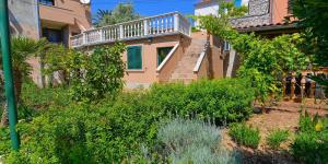 En have udenfor Cvita A2+1