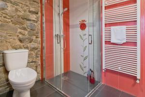 ein Badezimmer mit Toilette und Dusche in der Unterkunft Casa Rural Ucedo in Ucedo