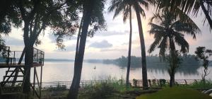 Φυσικό τοπίο κοντά σε αυτή η βίλα