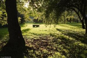 Κήπος έξω από το Chambre de Marie, Le Relais du Passe-heures