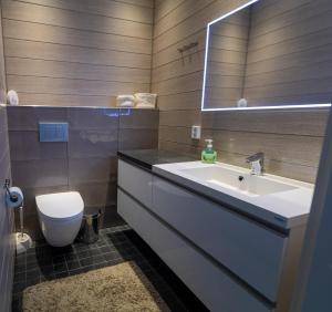 un bagno con lavandino, WC e specchio di Aurinkorinne 8 a Kalajoki Altre 17 foto