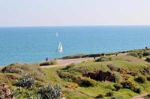 a sail boat in the ocean with a sail boat at Résidence Thalacap in Cap d'Agde