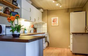 Η κουζίνα ή μικρή κουζίνα στο Awesome Apartment In Lindesnes With Wifi