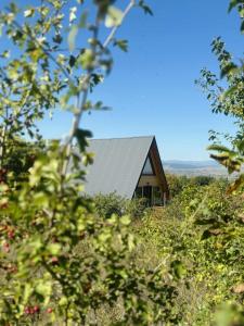 a house in the middle of a field with trees at A-Forest Retreat - David's A-frame in Ocna-Mureşului