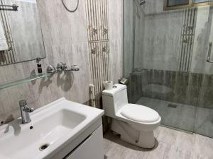 ein Badezimmer mit Toilette, Waschbecken und Dusche in der Unterkunft Mahnoor Living Apartment Peshawar in Peschawar