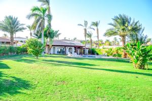 Un gran patio con palmeras y una casa. en Rooms and villas in Sheraton Sharm el Sheikh, en Sharm El Sheikh 11 fotos más