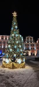 博莱斯瓦维茨Twój mały Apartament的建筑物前的圣诞树，树上挂着钟表。