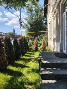 a yard with christmas trees next to a house at T38 Apartment, Vatra Dornei in Vatra Dornei