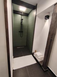 a bathroom with a shower with green walls and a mirror at T38 Apartment, Vatra Dornei in Vatra Dornei