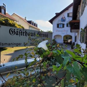 una flor blanca en un arbusto delante de un edificio en Hotel Gästehaus Gross, en Aschheim