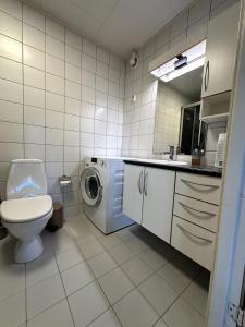 a bathroom with a toilet sink and a washing machine at Aurora Borealis Apartment - Sleeps 3 - Parking in Hjorten