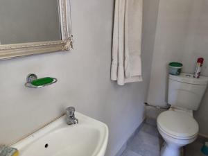 een badkamer met een toilet, een wastafel en een spiegel bij Mvuli haven in Pretoria