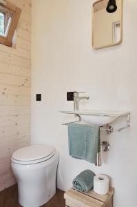 a bathroom with a white toilet and a sink at Rallentare immersi nel verde di Cima Lan 