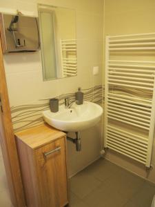 Ένα μπάνιο στο Apartmány Teplička Ski Resort Smrečiny