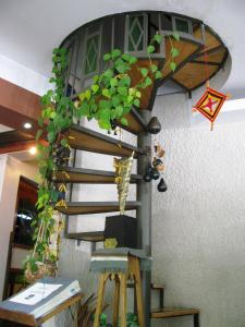 Foto da galeria de Hotel Xumec Mendoza em Mendoza