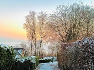 un giardino coperto da neve con alberi sullo sfondo di Beach House in Ardennes a Chaudfontaine Altre 31 foto