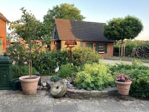 Κήπος έξω από το "At the Old Blacksmith's Farm"