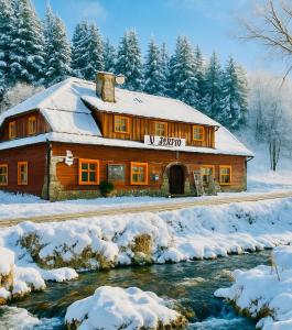 a log cabin in the snow next to a river at pension U Jiřího in Ludvíkov