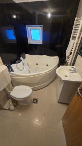 Ένα μπάνιο στο Tvrdjava Apartman