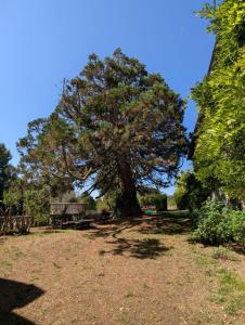 Κήπος έξω από το Domaine de la Dordrona